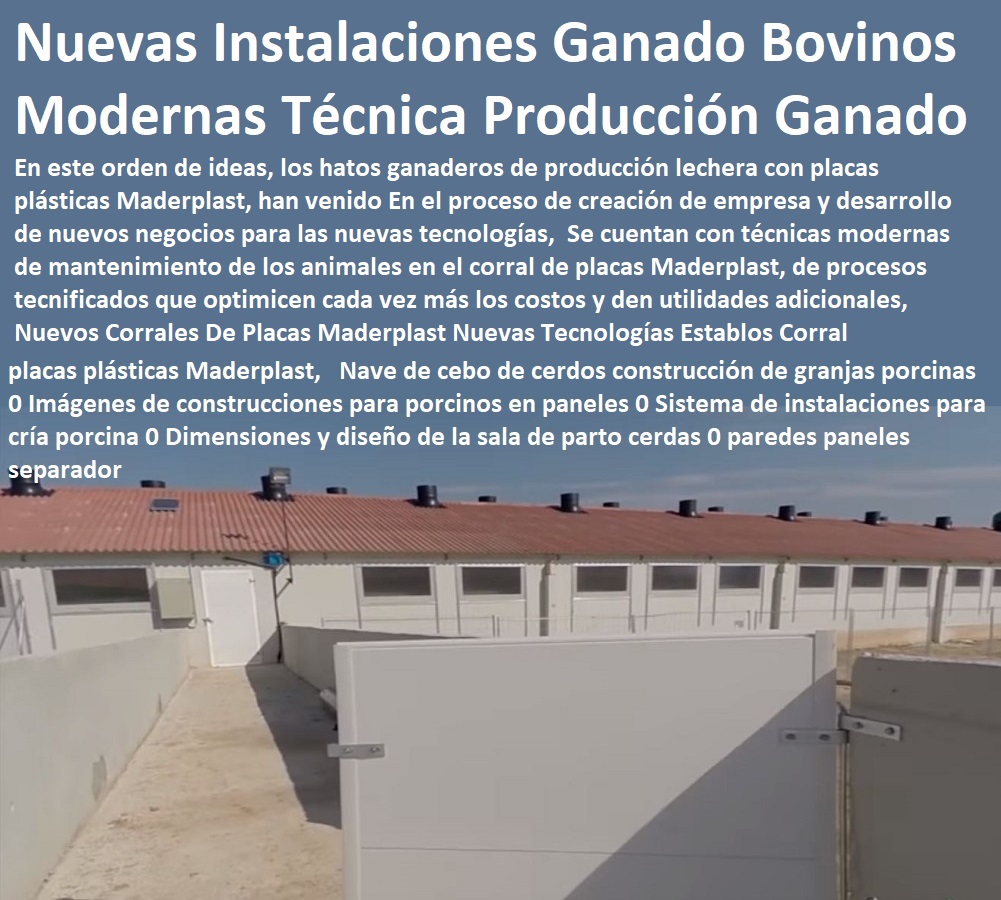 Nuevos Corrales De Placas Maderplast Nuevas Tecnologías Establos Corral Estabulado 0 modernas Técnicas de Producción de Especies Ganaderas 0 Establos Para Ganado de Engorde 0 Giras Técnicas Ganaderas 0 Instalaciones Ganado Bovinos Nuevos Corrales De Placas Maderplast Nuevas Tecnologías Establos Corral Estabulado 0 modernas Técnicas de Producción de Especies Ganaderas 0 Establos Para Ganado de Engorde 0 Giras Técnicas Ganaderas 0 Instalaciones Ganado Bovinos